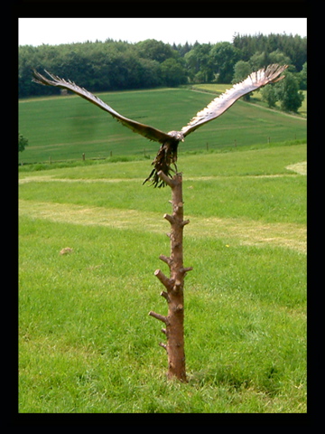 BIRD OF PREY