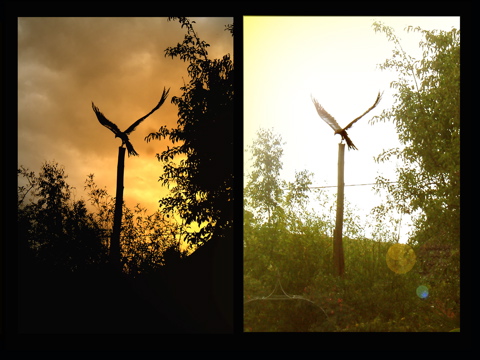 DAWN & DUSK