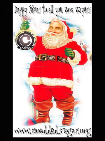 ME AS SANTA