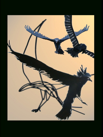 THE BIRDS jpg