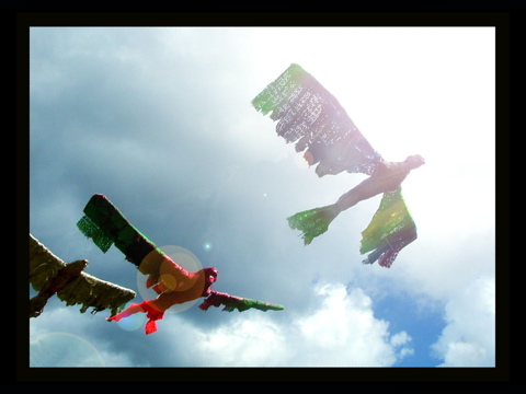 WELSH BIRDS 