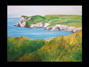 CLIFFS 