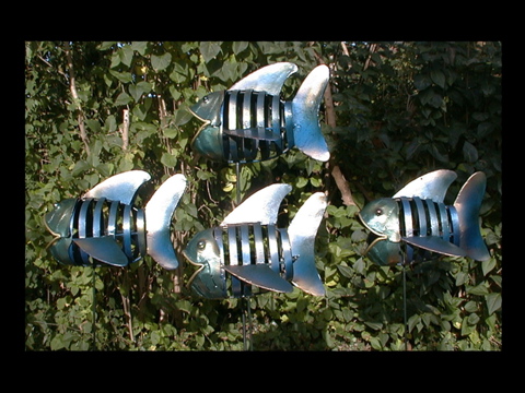FOUR FISH