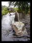 ROCK FISH