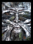 GREEN MAN close up