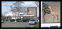 giraffe 1-2 small 