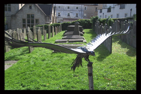 08 bird
